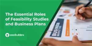 Feasibility study and business plan