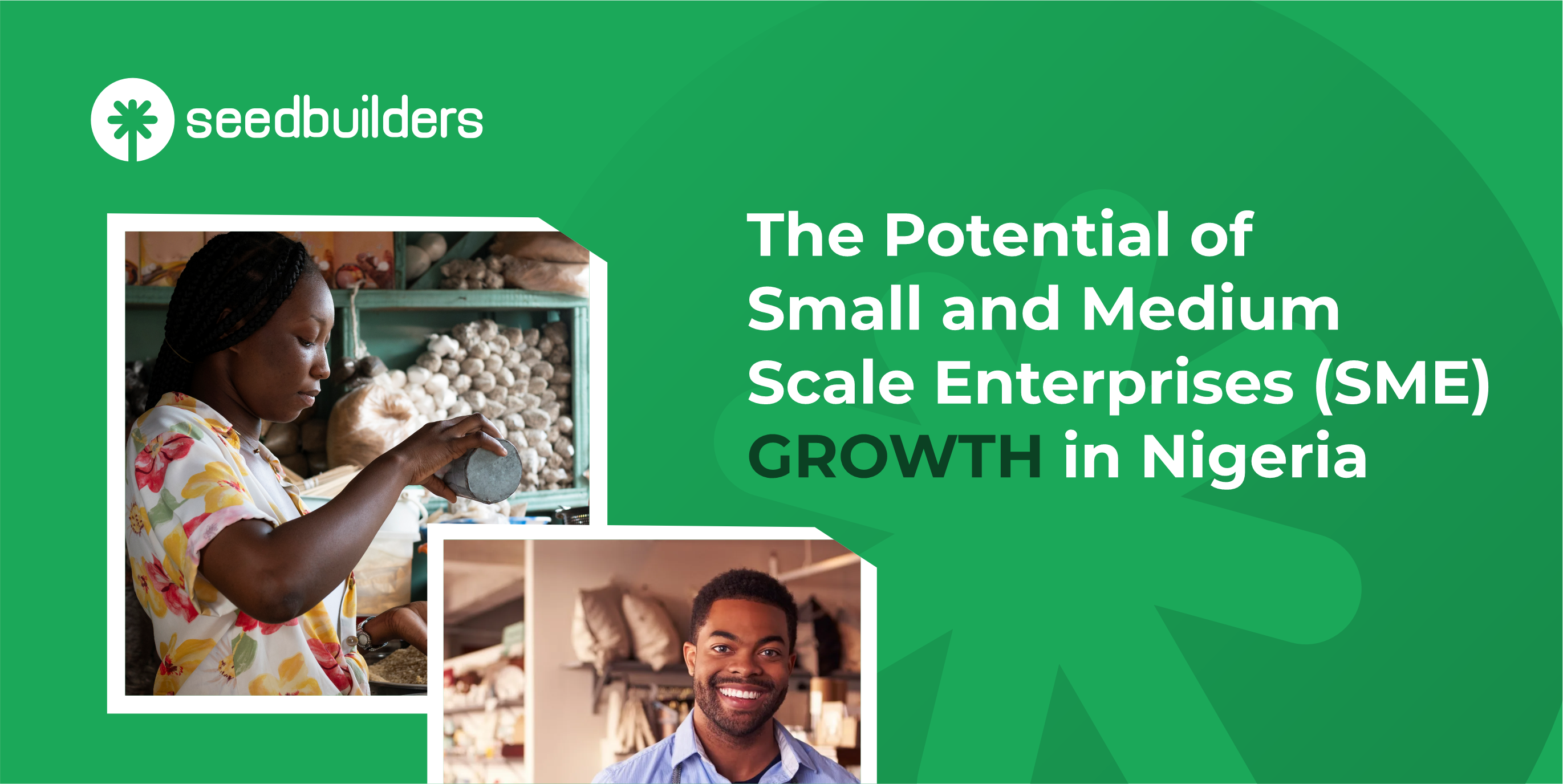 The Potential of Small and Medium-Scale Enterprises (SMEs) Growth in Nigeria