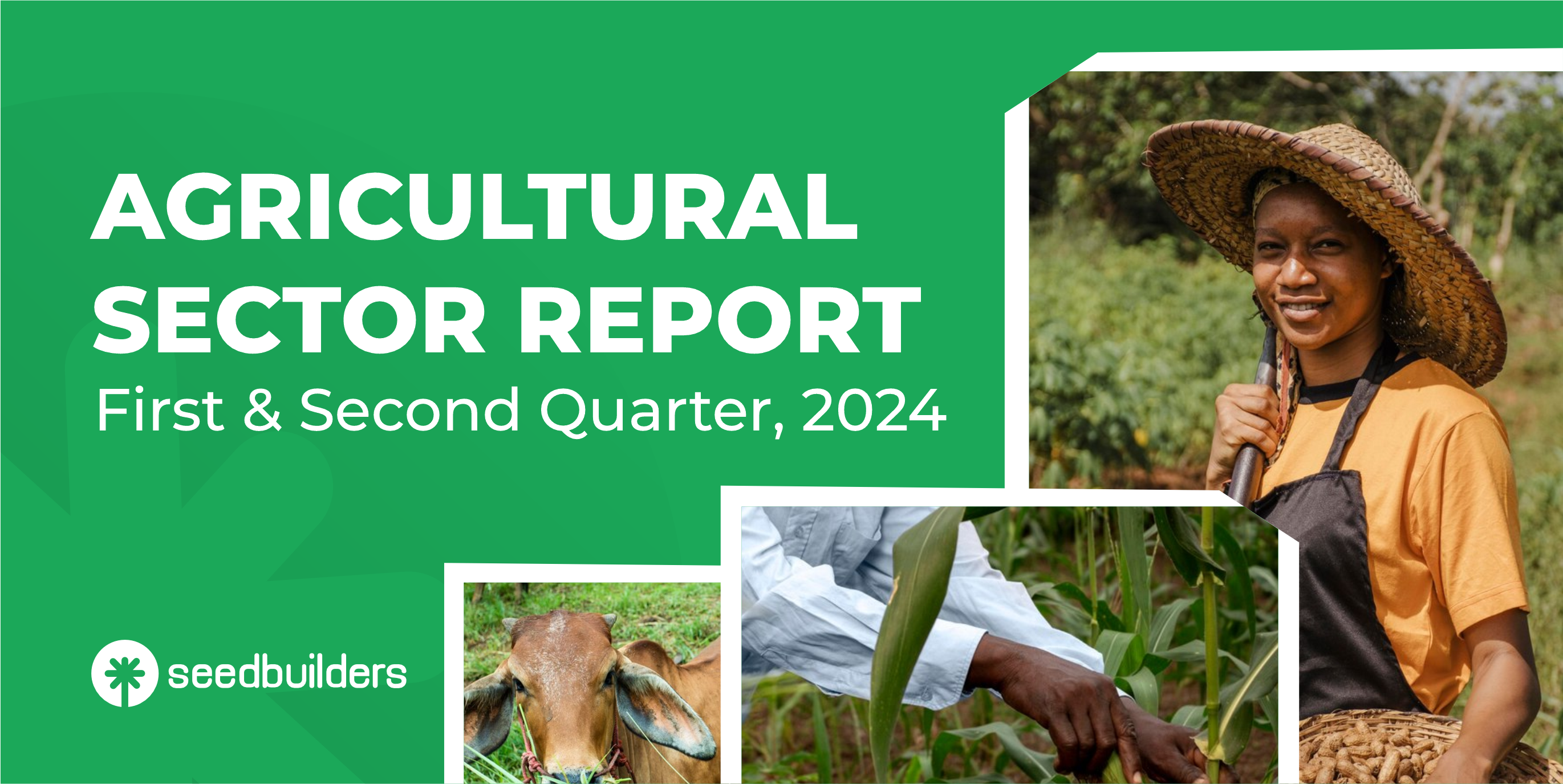 AGRICULTURAL SECTOR REPORT (1ST & 2ND QUATER, 2024)