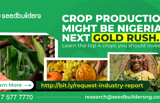 Crop Production might be Nigeria’s Next Gold Rush