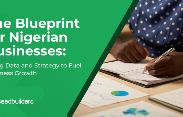 The Blueprint for Nigerian SMEs: Using Data and Strategy to Fuel Business Growth