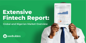 Nigerian Fintech Report