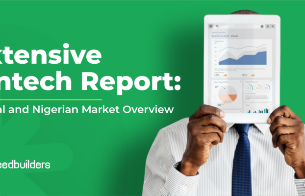 Extensive Fintech Report: Global and Nigerian Market Overview